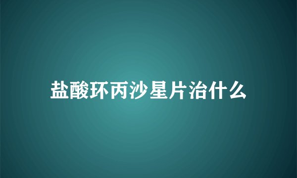 盐酸环丙沙星片治什么