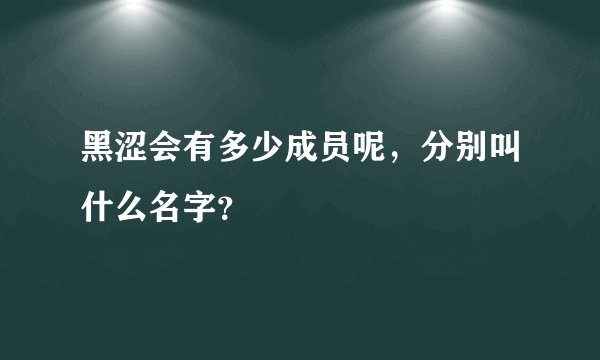 黑涩会有多少成员呢，分别叫什么名字？