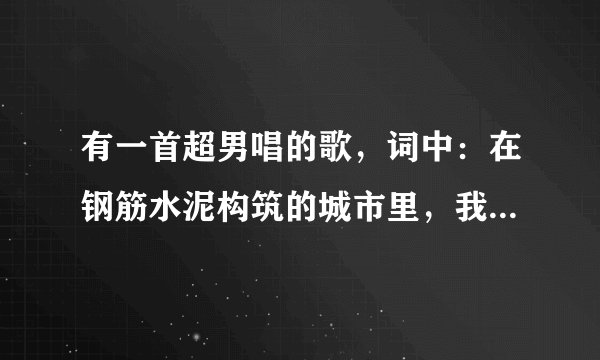 有一首超男唱的歌，词中：在钢筋水泥构筑的城市里，我就像无助的孩子。歌名是什么？