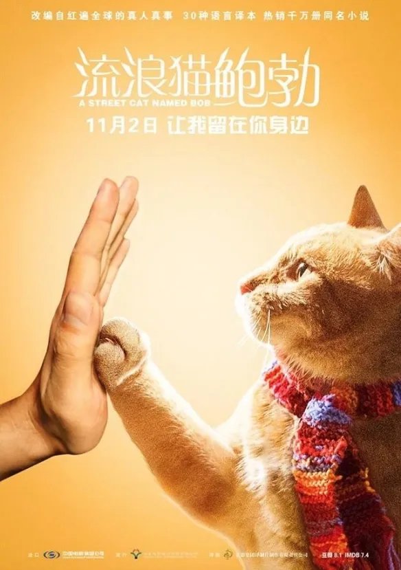 感动无数人的《流浪猫鲍勃》中的原型鲍勃去世！