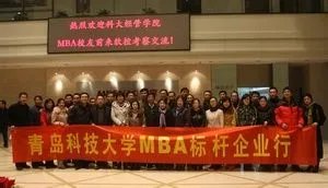 青岛高校软控股份有限公司的公司简介