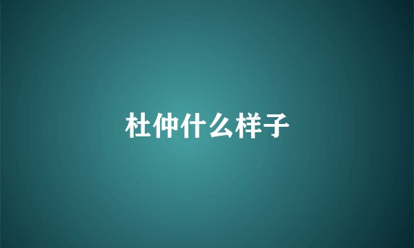 杜仲什么样子