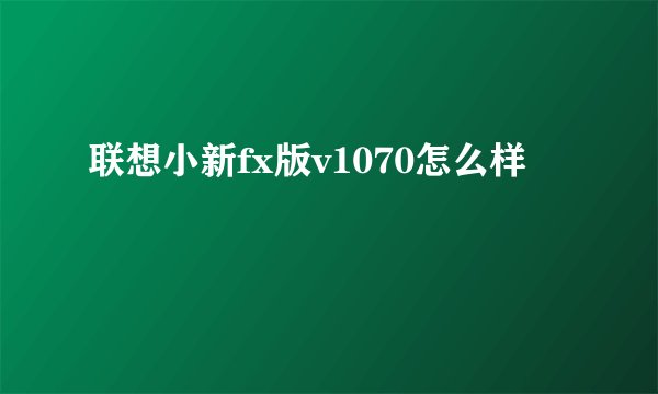联想小新fx版v1070怎么样