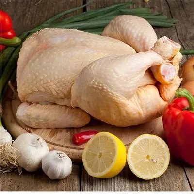 饮食养生与保健美容