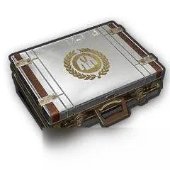 《绝地求生》将加入两款新宝箱 可开出传奇级沙漠面巾