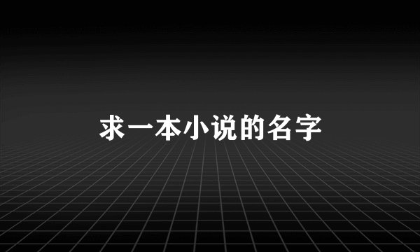 求一本小说的名字