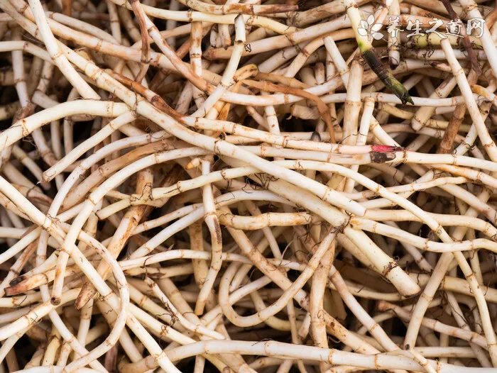 补水面霜什么牌子好 好用的补水面霜推荐