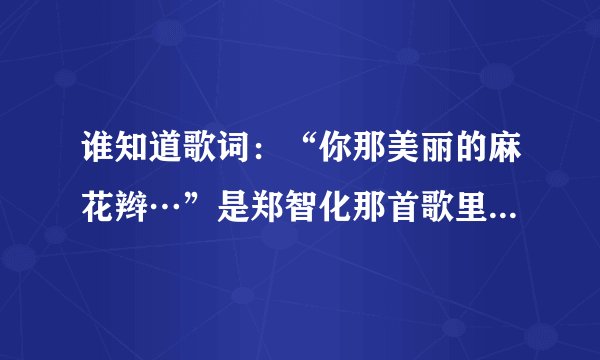 谁知道歌词：“你那美丽的麻花辫…”是郑智化那首歌里面的？歌曲名是什么？
