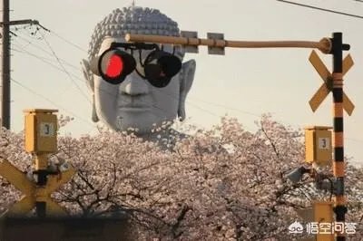 郑州：男子命令机场人员下跪道歉称“跪下是诚意”，机场警方回应, 你怎么看？