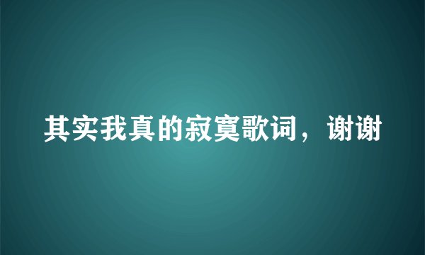 其实我真的寂寞歌词，谢谢
