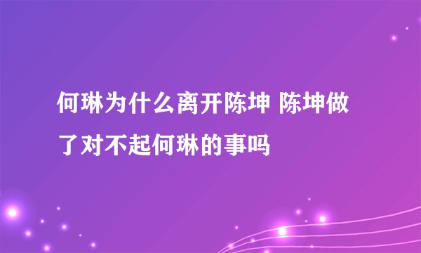 何琳为什么离开陈坤 陈坤做了对不起何琳的事吗