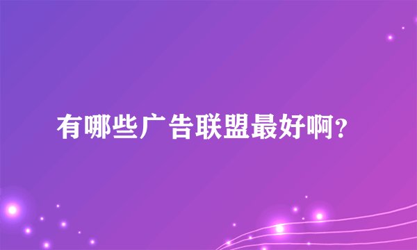 有哪些广告联盟最好啊？