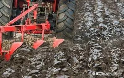 正品复合肥有哪些?