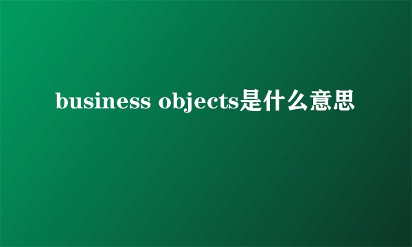 business objects是什么意思