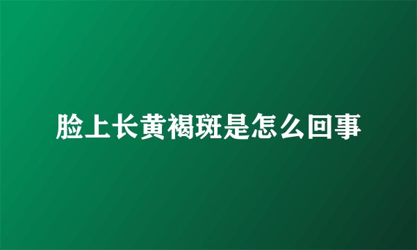 脸上长黄褐斑是怎么回事