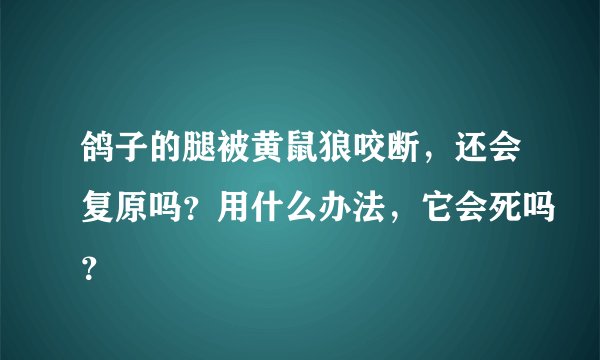 鸽子的腿被黄鼠狼咬断，还会复原吗？用什么办法，它会死吗？