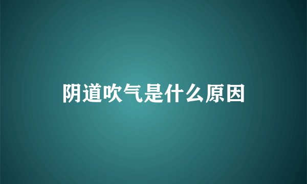 阴道吹气是什么原因