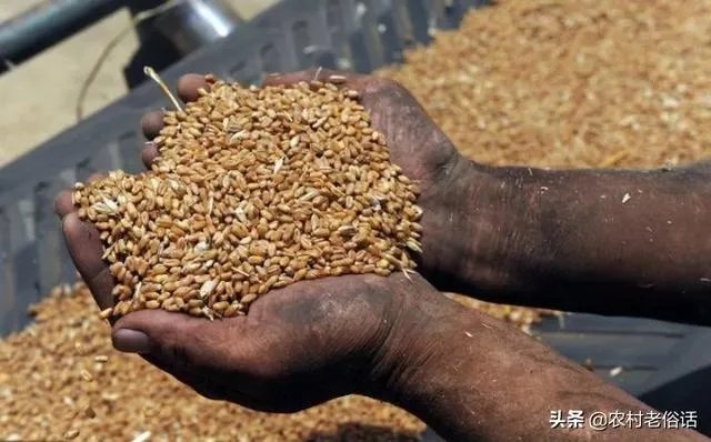 受疫情影响，已有国家禁止出口粮食，你怎么看？