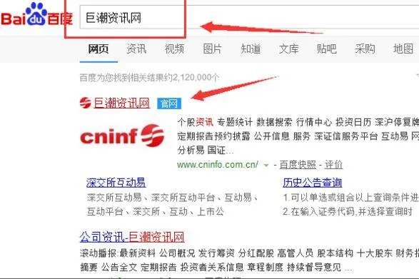 巨潮资讯网查上市公司年报