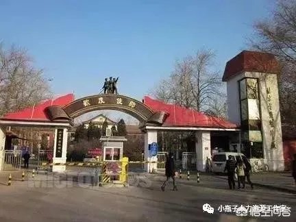 北京哪里有招临时演员的？