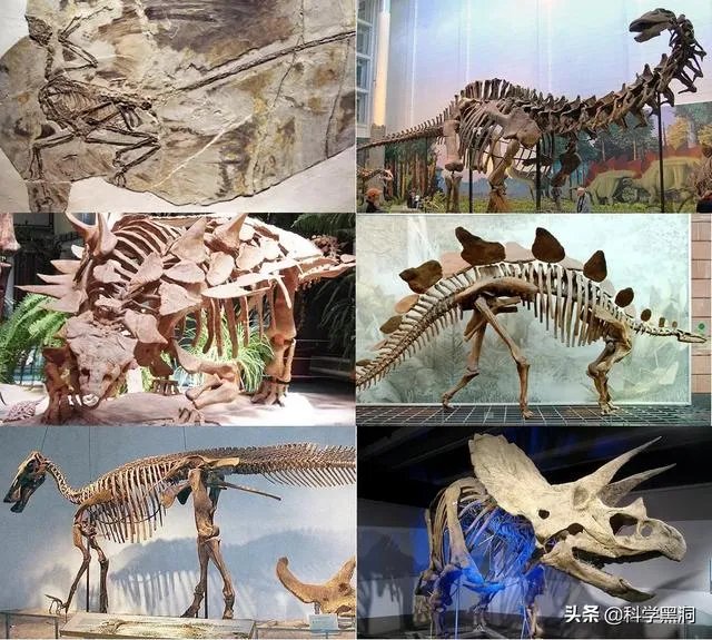 两颗小行星即将与地球擦肩而过,人类该担心吗?