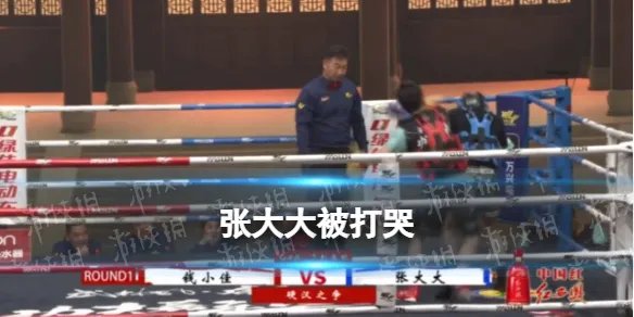 张大大被打哭 武林风功夫嘉年华张大大被打