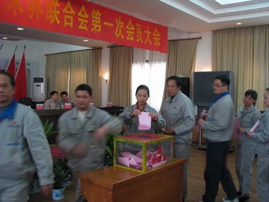 大唐桂冠合山发电有限公司的简介