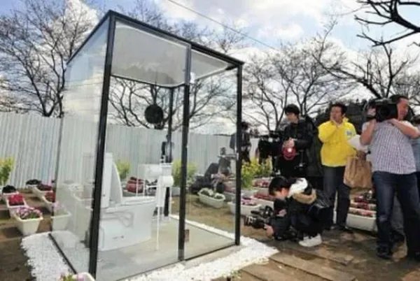 你认为日本公园的透明厕所是怎么回事呢？