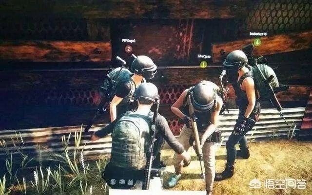 大家使用什么手机玩吃鸡游戏?