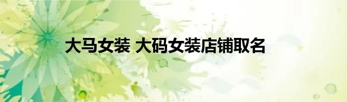 大马女装 大码女装店铺取名