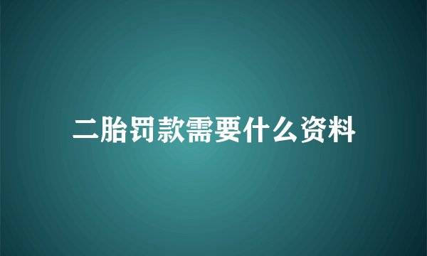 二胎罚款需要什么资料
