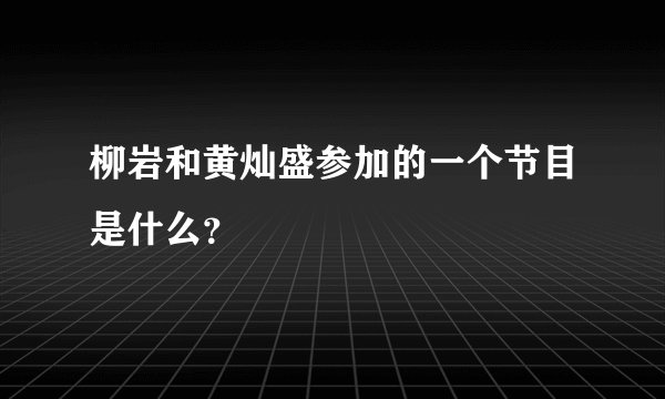 柳岩和黄灿盛参加的一个节目是什么？
