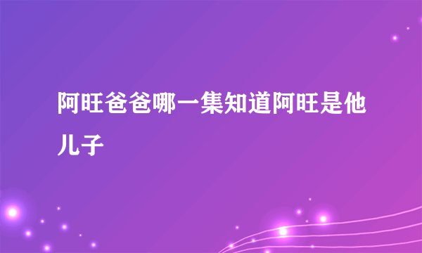 阿旺爸爸哪一集知道阿旺是他儿子