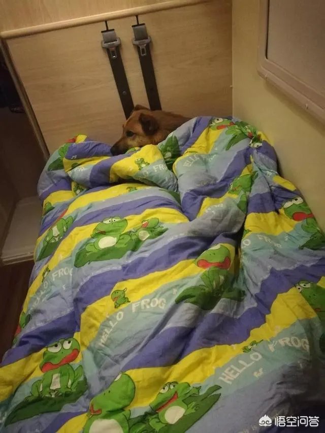 房车自驾游的随身物品需要准备哪些？