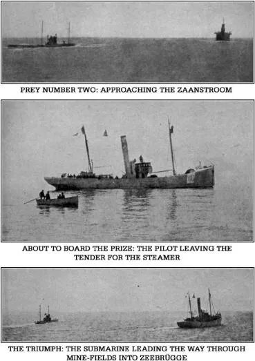 《战舰猎手》我的船被击沉后竟然炸出了大海怪