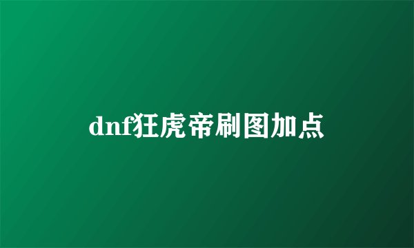 dnf狂虎帝刷图加点