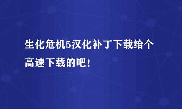 生化危机5汉化补丁下载给个高速下载的吧！