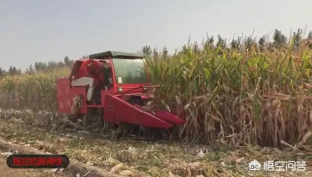 玉米收割机扒皮不净怎么办?