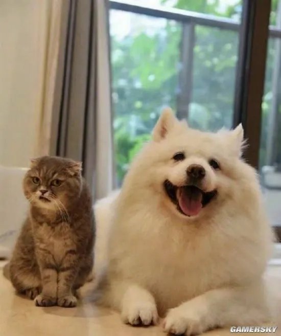 一图概括网络上90%的大长腿 字母了就不分手的囧图