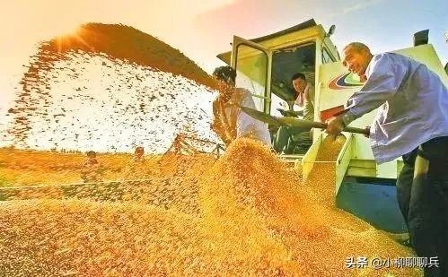 受疫情影响，已有国家禁止出口粮食，你怎么看？