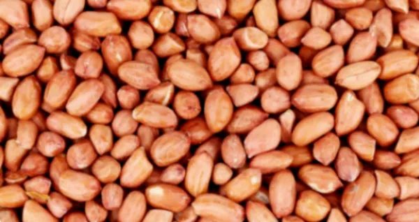 用九阳豆浆机做米糊食谱