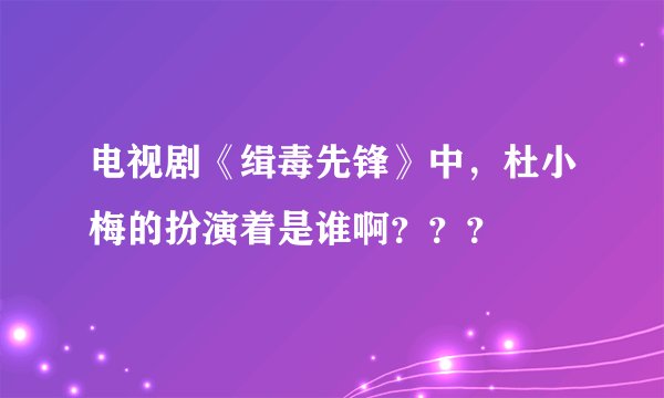 电视剧《缉毒先锋》中，杜小梅的扮演着是谁啊？？？