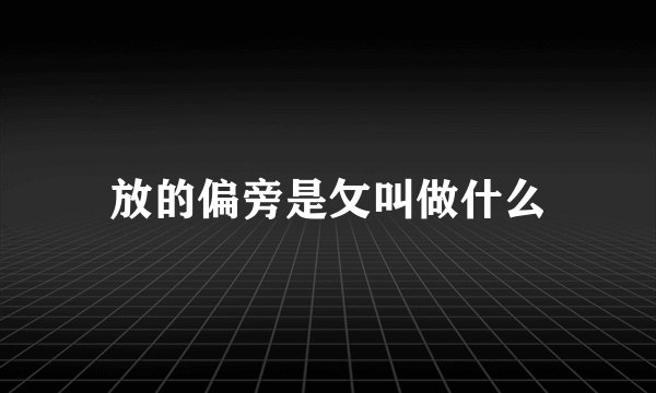 放的偏旁是攵叫做什么
