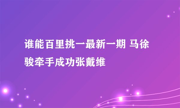 谁能百里挑一最新一期 马徐骏牵手成功张戴维