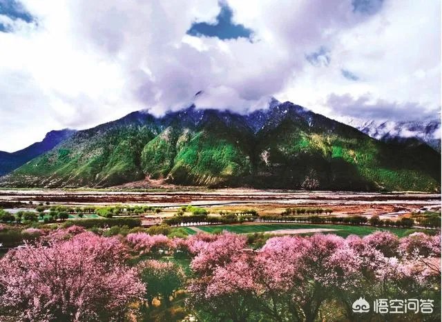 你觉得国内哪些旅游景点是摄影创作团队最爱去的？