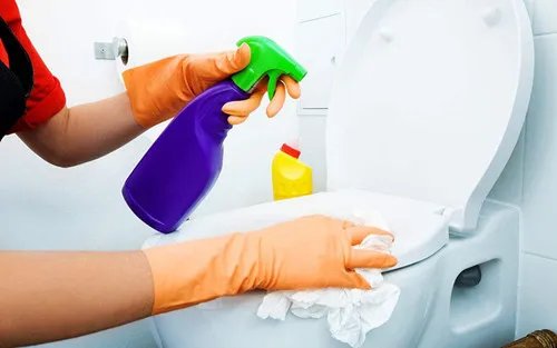 抽水马桶结构图 抽水马桶的清洁保养