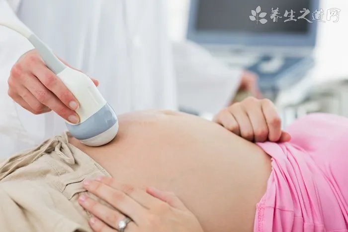 血常规化验单怎么看