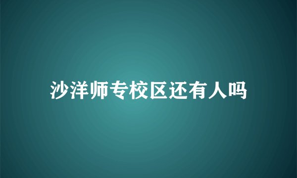 沙洋师专校区还有人吗
