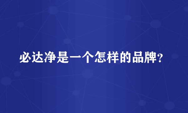 必达净是一个怎样的品牌？