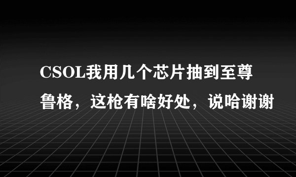 CSOL我用几个芯片抽到至尊鲁格，这枪有啥好处，说哈谢谢
